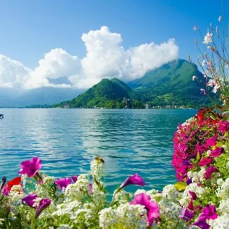 Ace Hotel Annecy-2